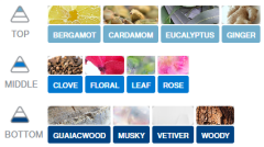 KAĞIT ORTAM PARFÜMÜ 30 GÜN ETKİLİ ARABADA EVDE OFİSTE