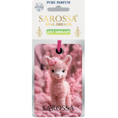 KAĞIT ORTAM PARFÜMÜ, ORTAM HAVA TEMİZLEYİCİ VE TAZELEYİCİ 30 GÜN ETKİLİ ARABADA EVDE OFİSTE