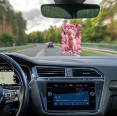 KAĞIT ORTAM PARFÜMÜ, ORTAM HAVA TEMİZLEYİCİ VE TAZELEYİCİ 30 GÜN ETKİLİ ARABADA EVDE OFİSTE