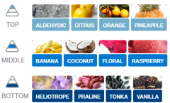 KAĞIT ORTAM PARFÜMÜ, ORTAM HAVA TEMİZLEYİCİ VE TAZELEYİCİ 30 GÜN ETKİLİ ARABADA EVDE OFİSTE