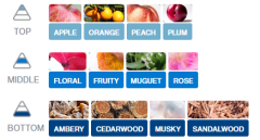 KAĞIT ORTAM PARFÜMÜ, ORTAM HAVA TEMİZLEYİCİ VE TAZELEYİCİ 30 GÜN ETKİLİ ARABADA EVDE OFİSTE