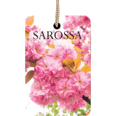 Kağıt Ortam Parfümü, Ortam Hava Temizleyici 30+ Gün Etkili Arabada Evde Ofiste The Most