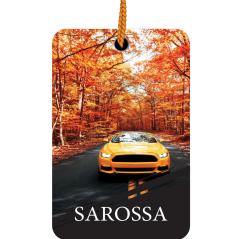 KAĞIT ORTAM PARFÜMÜ, ORTAM HAVA TEMİZLEYİCİ VE TAZELEYİCİ 30 GÜN ETKİLİ ARABADA EVDE OFİSTE