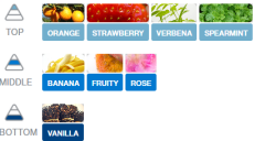 KAĞIT ORTAM PARFÜMÜ, ORTAM HAVA TEMİZLEYİCİ VE TAZELEYİCİ 30 GÜN ETKİLİ ARABADA EVDE OFİSTE