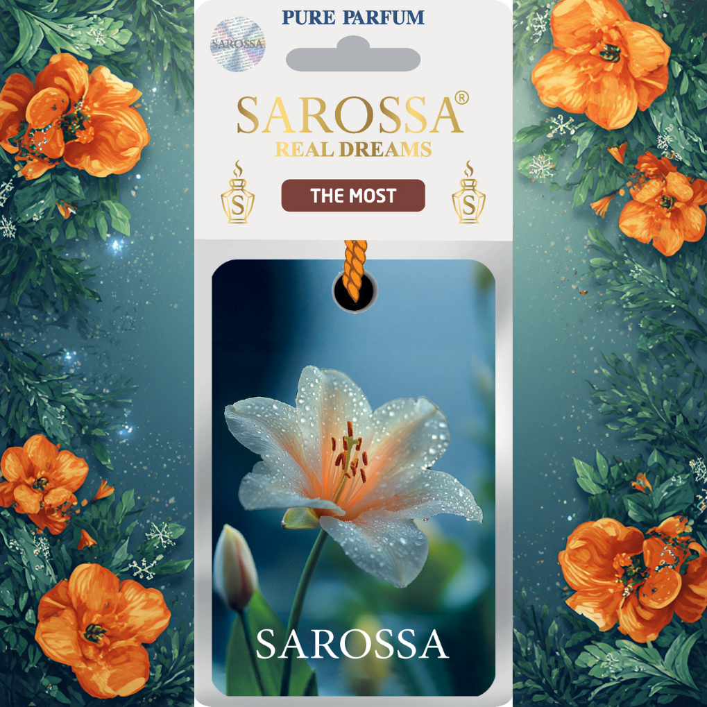 Kağıt Ortam Parfümü, Ortam Hava Temizleyici 30+ Gün Etkili Arabada Evde Ofiste The Most