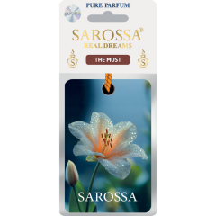 Kağıt Ortam Parfümü, Ortam Hava Temizleyici 30+ Gün Etkili Arabada Evde Ofiste The Most