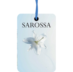 KAĞIT ORTAM PARFÜMÜ, ORTAM HAVA TEMİZLEYİCİ VE TAZELEYİCİ 30 GÜN ETKİLİ ARABADA EVDE OFİSTE