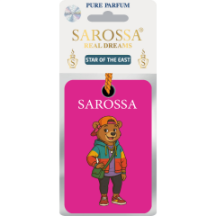 KAĞIT ORTAM PARFÜMÜ, ORTAM HAVA TEMİZLEYİCİ VE TAZELEYİCİ 30 GÜN ETKİLİ ARABADA EVDE OFİSTE