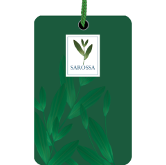 Kağıt Ortam Parfümü, Ortam Hava Temizleyici 30+ Gün Etkili Arabada Evde Ofiste The Most