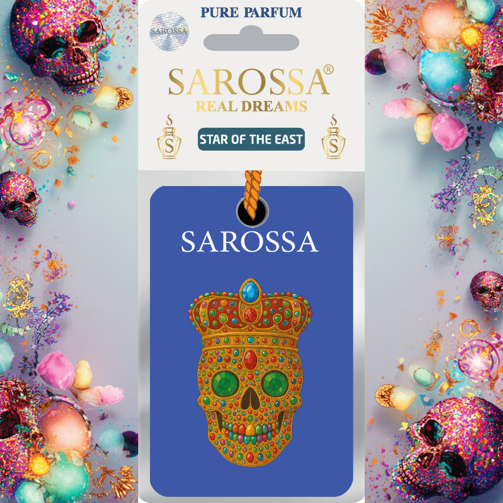 KAĞIT ORTAM PARFÜMÜ, ORTAM HAVA TEMİZLEYİCİ VE TAZELEYİCİ 30 GÜN ETKİLİ ARABADA EVDE OFİSTE