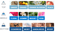 KAĞIT ORTAM PARFÜMÜ, ORTAM HAVA TEMİZLEYİCİ VE TAZELEYİCİ 30 GÜN ETKİLİ ARABADA EVDE OFİSTE