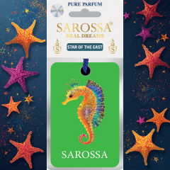 KAĞIT ORTAM PARFÜMÜ, ORTAM HAVA TEMİZLEYİCİ VE TAZELEYİCİ 30 GÜN ETKİLİ ARABADA EVDE OFİSTE