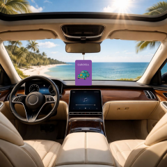 Kağıt Ortam Parfümü, Ortam Hava Temizleyici 30+ Gün Etkili Arabada Evde Ofiste The Most