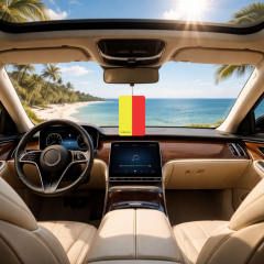 Kağıt Ortam Parfümü, Ortam Hava Temizleyici 30+ Gün Etkili Arabada Evde Ofiste The Most