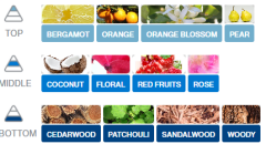 KAĞIT ORTAM PARFÜMÜ, ORTAM HAVA TEMİZLEYİCİ VE TAZELEYİCİ 30 GÜN ETKİLİ ARABADA EVDE OFİSTE