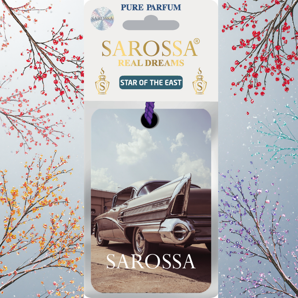 KAĞIT ORTAM PARFÜMÜ, ORTAM HAVA TEMİZLEYİCİ VE TAZELEYİCİ 30 GÜN ETKİLİ ARABADA EVDE OFİSTE