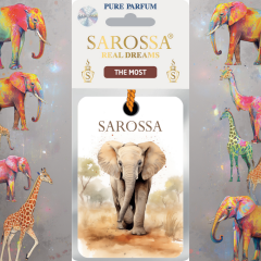 Kağıt Ortam Parfümü, Ortam Hava Temizleyici 30+ Gün Etkili Arabada Evde Ofiste The Most