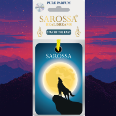 KAĞIT ORTAM PARFÜMÜ, ORTAM HAVA TEMİZLEYİCİ VE TAZELEYİCİ 30 GÜN ETKİLİ ARABADA EVDE OFİSTE