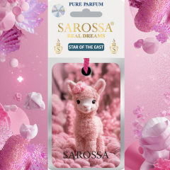 KAĞIT ORTAM PARFÜMÜ, ORTAM HAVA TEMİZLEYİCİ VE TAZELEYİCİ 30 GÜN ETKİLİ ARABADA EVDE OFİSTE