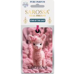 KAĞIT ORTAM PARFÜMÜ, ORTAM HAVA TEMİZLEYİCİ VE TAZELEYİCİ 30 GÜN ETKİLİ ARABADA EVDE OFİSTE