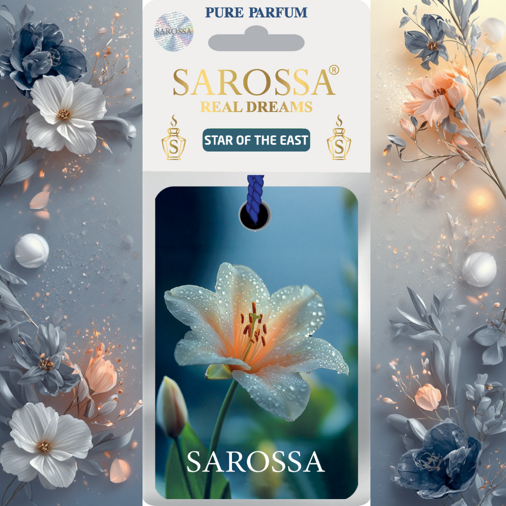 KAĞIT ORTAM PARFÜMÜ, ORTAM HAVA TEMİZLEYİCİ VE TAZELEYİCİ 30 GÜN ETKİLİ ARABADA EVDE OFİSTE