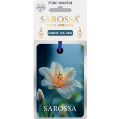 KAĞIT ORTAM PARFÜMÜ, ORTAM HAVA TEMİZLEYİCİ VE TAZELEYİCİ 30 GÜN ETKİLİ ARABADA EVDE OFİSTE