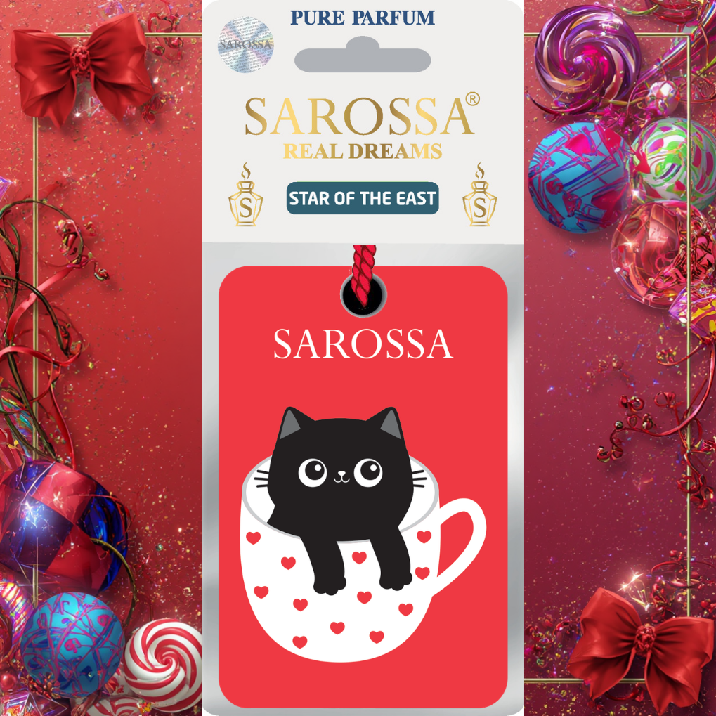 KAĞIT ORTAM PARFÜMÜ, ORTAM HAVA TEMİZLEYİCİ VE TAZELEYİCİ 30 GÜN ETKİLİ ARABADA EVDE OFİSTE