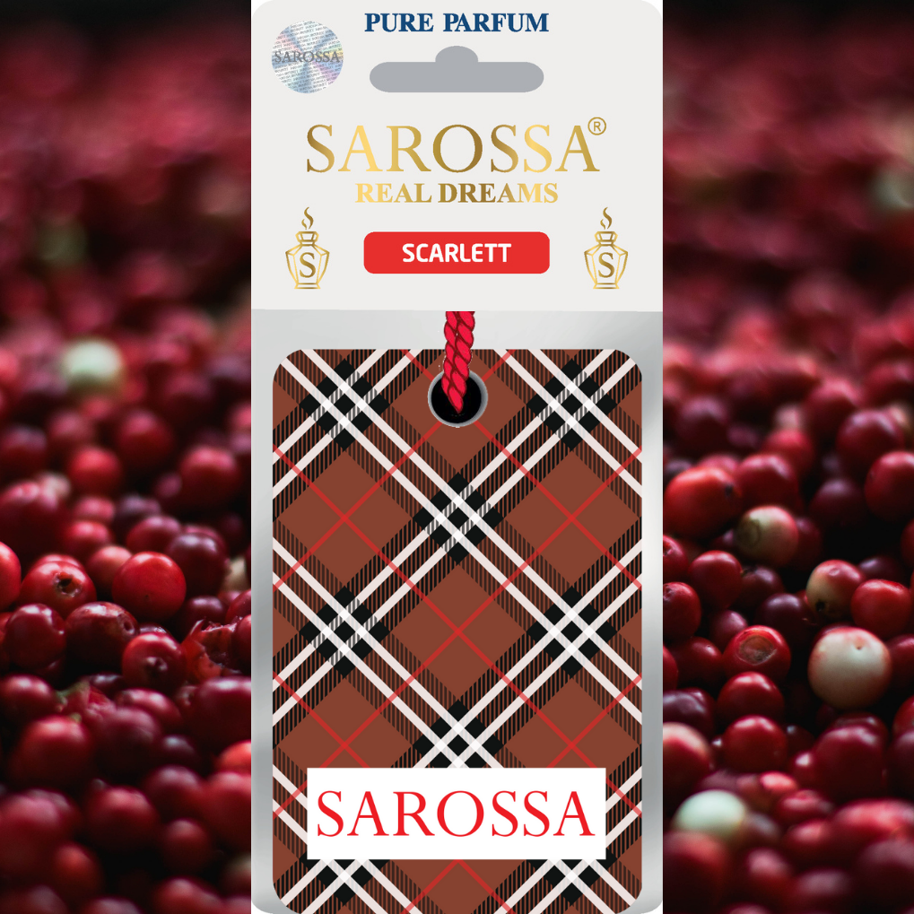 KAĞIT ORTAM PARFÜMÜ, ORTAM HAVA TEMİZLEYİCİ VE TAZELEYİCİ 30 GÜN ETKİLİ ARABADA EVDE OFİSTE