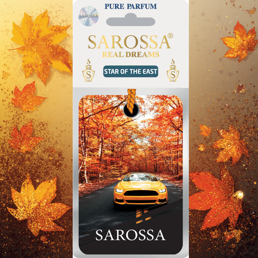 KAĞIT ORTAM PARFÜMÜ, ORTAM HAVA TEMİZLEYİCİ VE TAZELEYİCİ 30 GÜN ETKİLİ ARABADA EVDE OFİSTE