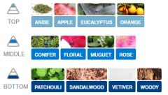 KAĞIT ORTAM PARFÜMÜ, ORTAM HAVA TEMİZLEYİCİ VE TAZELEYİCİ 30 GÜN ETKİLİ ARABADA EVDE OFİSTE