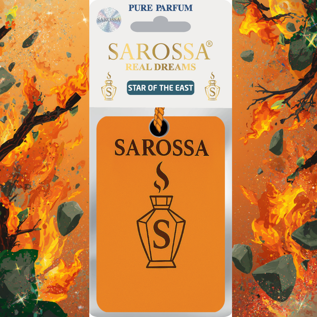 KAĞIT ORTAM PARFÜMÜ, ORTAM HAVA TEMİZLEYİCİ VE TAZELEYİCİ 30 GÜN ETKİLİ ARABADA EVDE OFİSTE