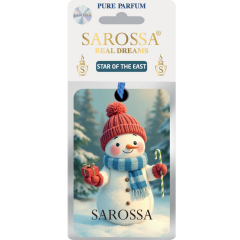 KAĞIT ORTAM PARFÜMÜ, ORTAM HAVA TEMİZLEYİCİ VE TAZELEYİCİ 30 GÜN ETKİLİ ARABADA EVDE OFİSTE