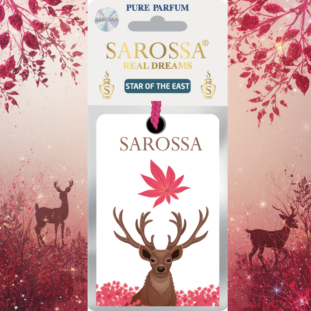 KAĞIT ORTAM PARFÜMÜ, ORTAM HAVA TEMİZLEYİCİ VE TAZELEYİCİ 30 GÜN ETKİLİ ARABADA EVDE OFİSTE