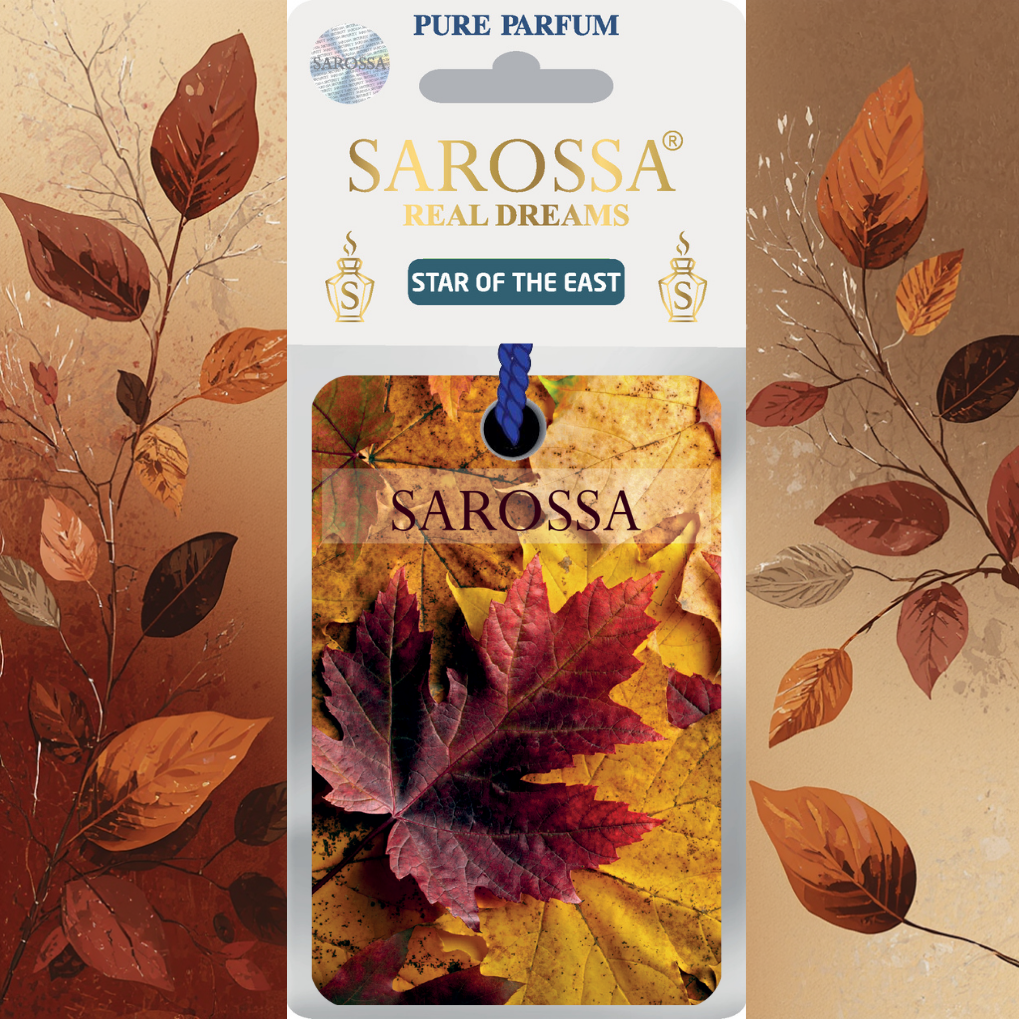 KAĞIT ORTAM PARFÜMÜ, ORTAM HAVA TEMİZLEYİCİ VE TAZELEYİCİ 30 GÜN ETKİLİ ARABADA EVDE OFİSTE