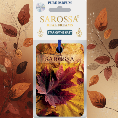 KAĞIT ORTAM PARFÜMÜ, ORTAM HAVA TEMİZLEYİCİ VE TAZELEYİCİ 30 GÜN ETKİLİ ARABADA EVDE OFİSTE