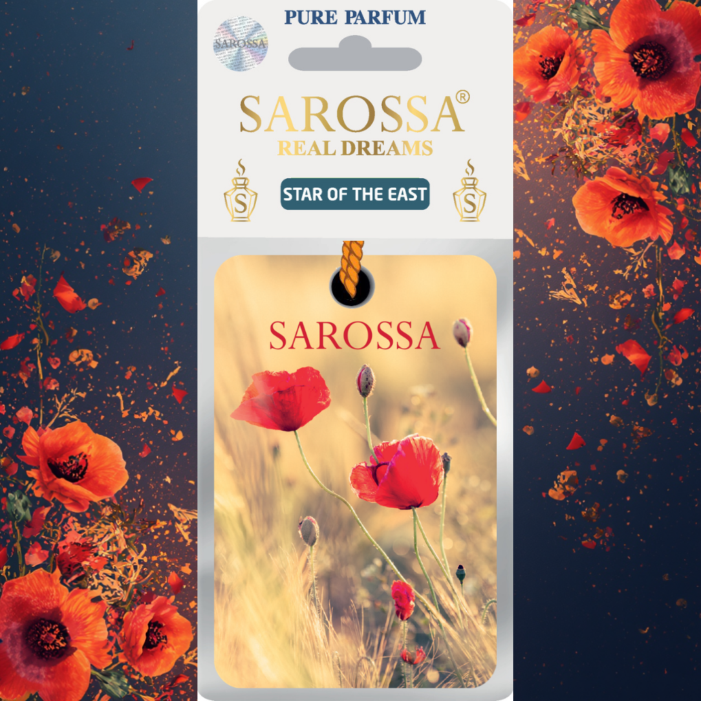 KAĞIT ORTAM PARFÜMÜ, ORTAM HAVA TEMİZLEYİCİ VE TAZELEYİCİ 30 GÜN ETKİLİ ARABADA EVDE OFİSTE