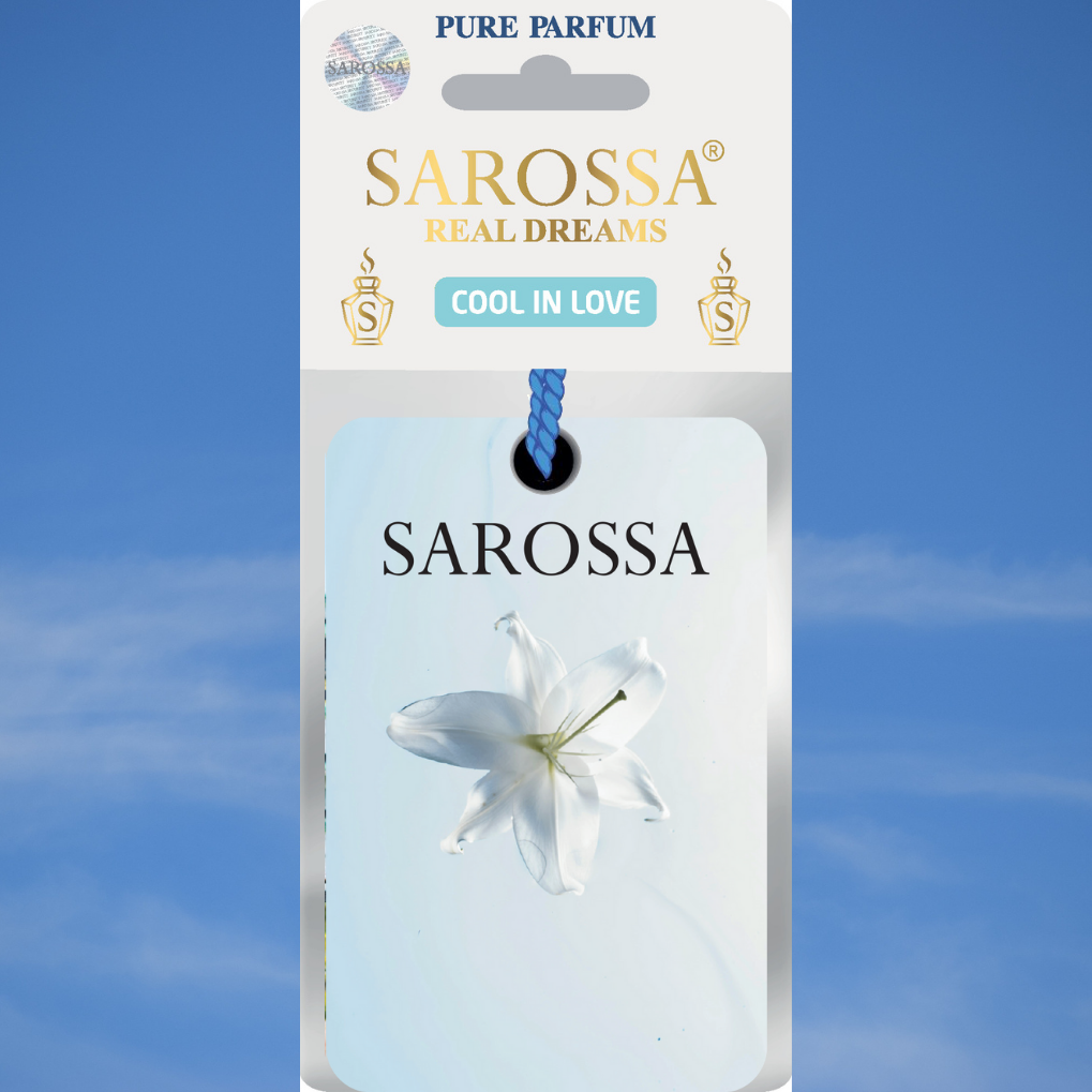 KAĞIT ORTAM PARFÜMÜ, ORTAM HAVA TEMİZLEYİCİ VE TAZELEYİCİ 30 GÜN ETKİLİ ARABADA EVDE OFİSTE