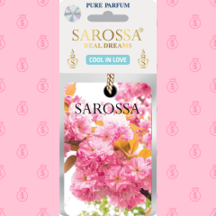 KAĞIT ORTAM PARFÜMÜ, ORTAM HAVA TEMİZLEYİCİ VE TAZELEYİCİ 30 GÜN ETKİLİ ARABADA EVDE OFİSTE