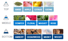 KAĞIT ORTAM PARFÜMÜ, ORTAM HAVA TEMİZLEYİCİ VE TAZELEYİCİ 30 GÜN ETKİLİ ARABADA EVDE OFİSTE