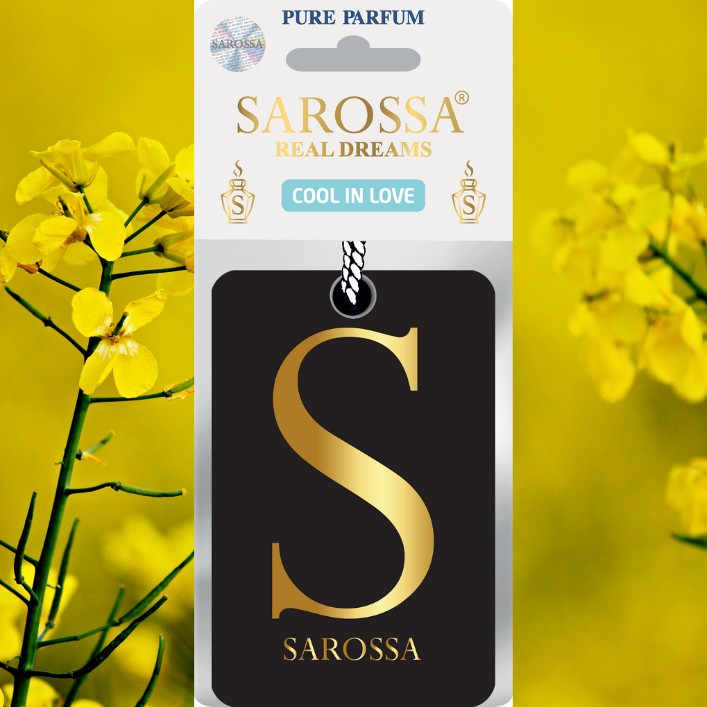 KAĞIT ORTAM PARFÜMÜ, ORTAM HAVA TEMİZLEYİCİ VE TAZELEYİCİ 30 GÜN ETKİLİ ARABADA EVDE OFİSTE