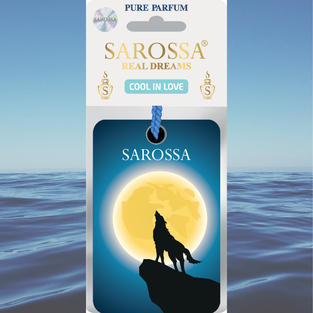 KAĞIT ORTAM PARFÜMÜ, ORTAM HAVA TEMİZLEYİCİ VE TAZELEYİCİ 30 GÜN ETKİLİ ARABADA EVDE OFİSTE