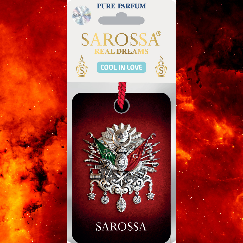 KAĞIT ORTAM PARFÜMÜ, ORTAM HAVA TEMİZLEYİCİ VE TAZELEYİCİ 30 GÜN ETKİLİ ARABADA EVDE OFİSTE