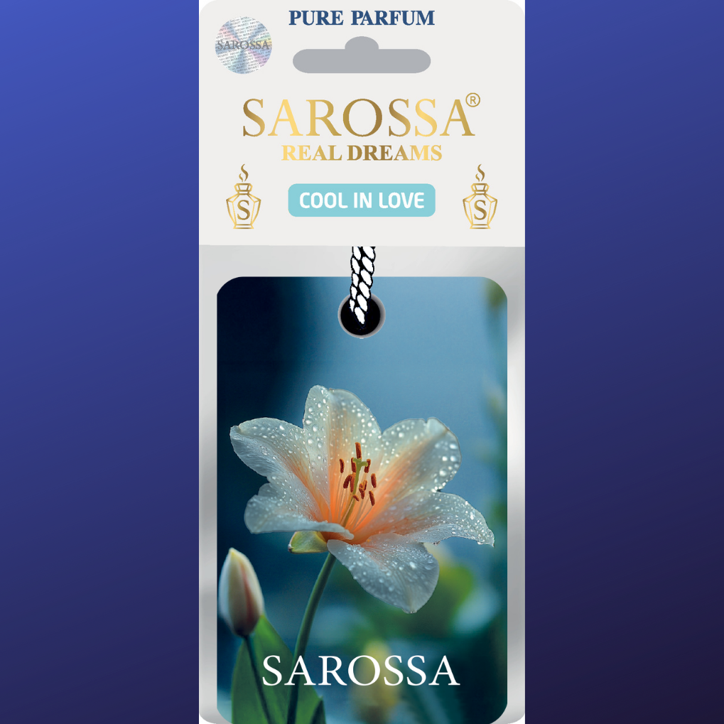 KAĞIT ORTAM PARFÜMÜ, ORTAM HAVA TEMİZLEYİCİ VE TAZELEYİCİ 30 GÜN ETKİLİ ARABADA EVDE OFİSTE