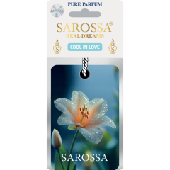 KAĞIT ORTAM PARFÜMÜ, ORTAM HAVA TEMİZLEYİCİ VE TAZELEYİCİ 30 GÜN ETKİLİ ARABADA EVDE OFİSTE