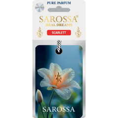 KAĞIT ORTAM PARFÜMÜ, ORTAM HAVA TEMİZLEYİCİ VE TAZELEYİCİ 30 GÜN ETKİLİ ARABADA EVDE OFİSTE