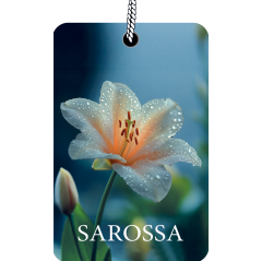 KAĞIT ORTAM PARFÜMÜ, ORTAM HAVA TEMİZLEYİCİ VE TAZELEYİCİ 30 GÜN ETKİLİ ARABADA EVDE OFİSTE