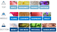 Kağıt Ortam Parfümü, Ortam Hava Temizleyici 30+ Gün Etkili Arabada Evde Ofiste The Most