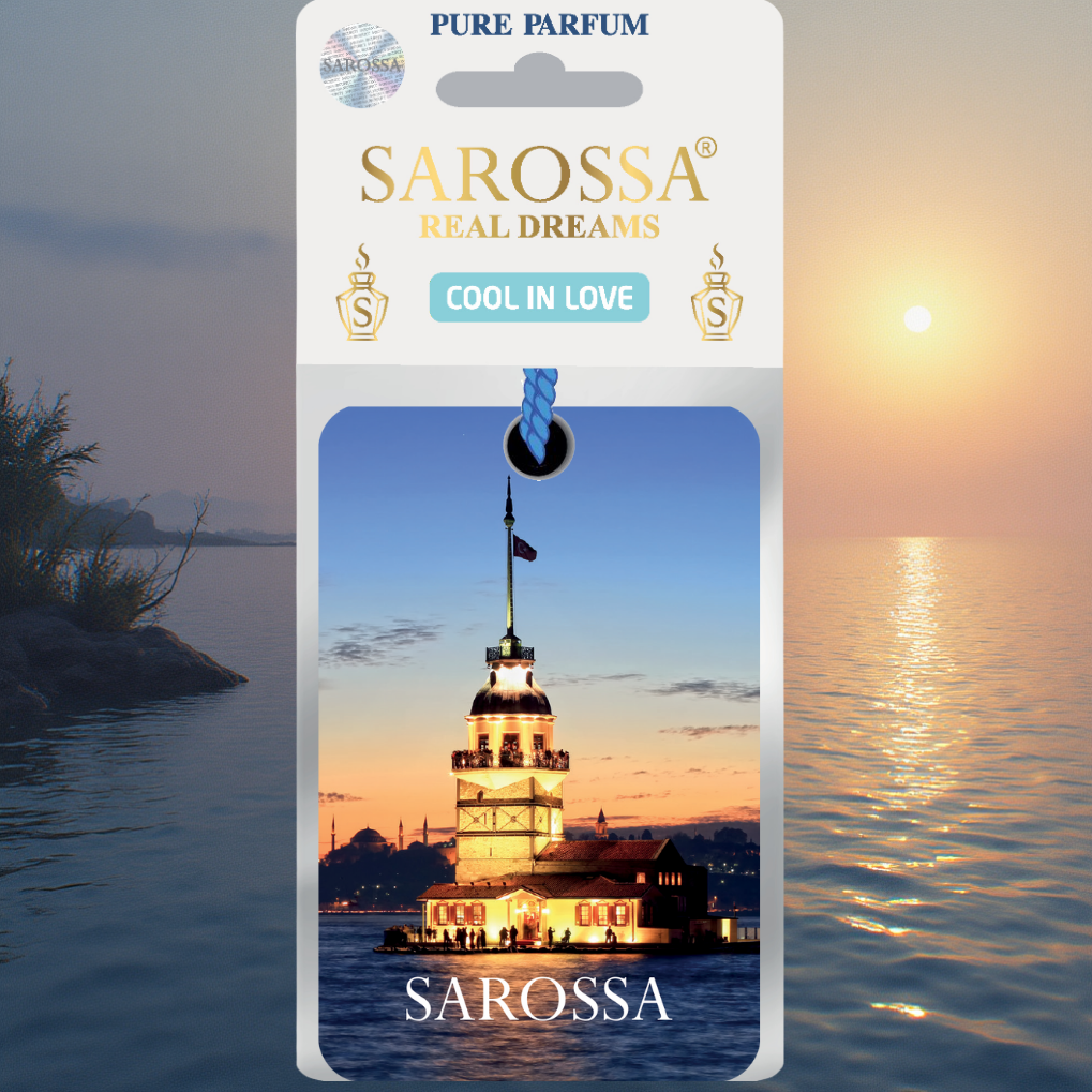 KAĞIT ORTAM PARFÜMÜ, ORTAM HAVA TEMİZLEYİCİ VE TAZELEYİCİ 30 GÜN ETKİLİ ARABADA EVDE OFİSTE