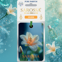 Kağıt Ortam Parfümü, Ortam Hava Temizleyici Ve Tazeleyici 30+ Gün Etkili Arabada Evde Ofiste Golden