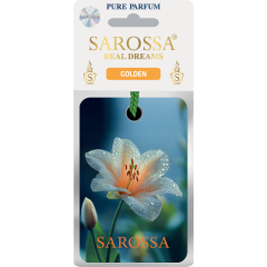 Kağıt Ortam Parfümü, Ortam Hava Temizleyici Ve Tazeleyici 30+ Gün Etkili Arabada Evde Ofiste Golden